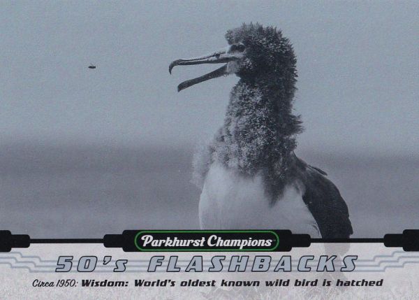 insert karta BIRD 22-23 Parkhurst Champions 50´s Flashbacks číslo FB-5